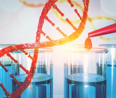 DNA research concept DNA barcodes for biomedical research  mitoc